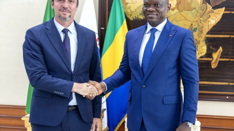 Gabon: Le Conseiller Afrique du Président de la République française reçu par le Chef de l’État