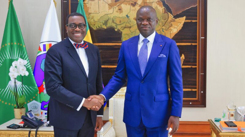 Gabon : Le Chef de l’État échange avec le président de la BAD