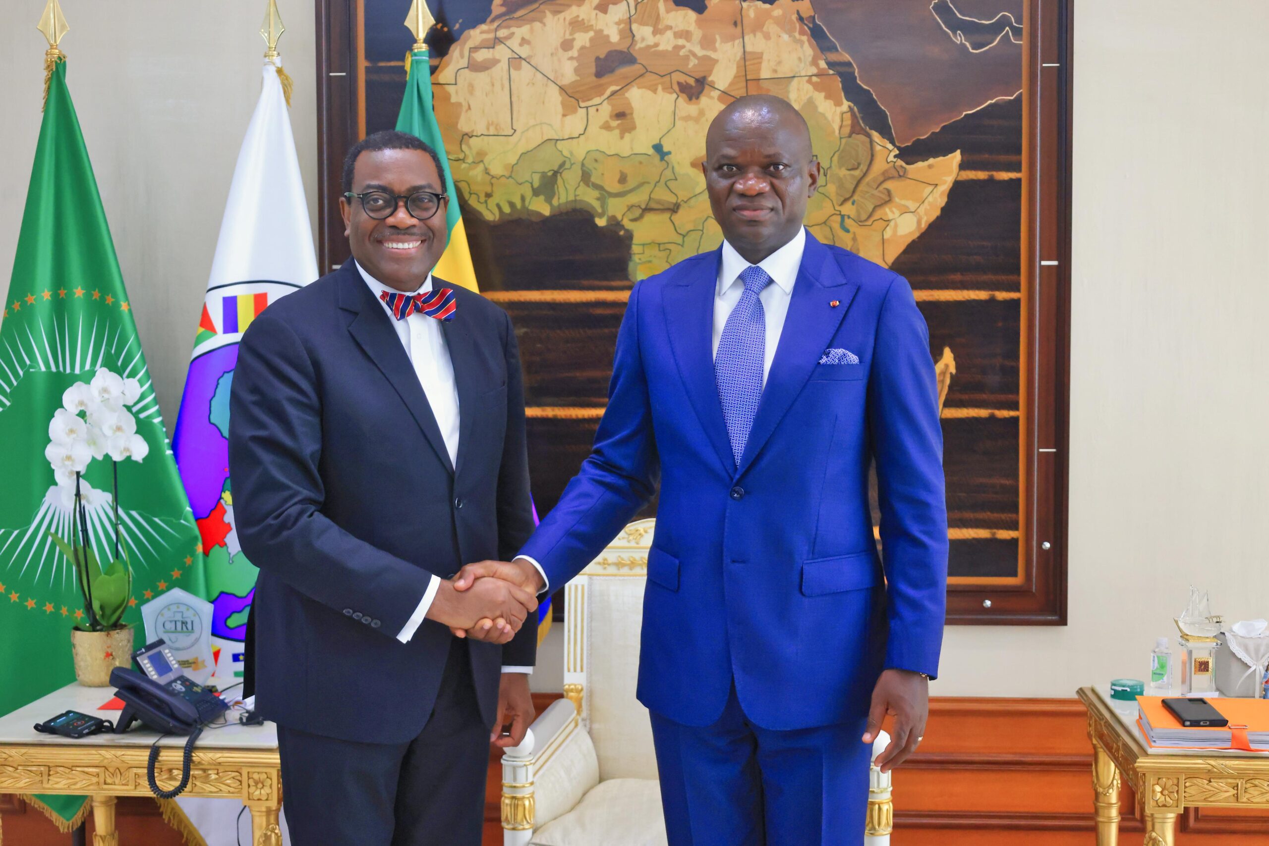 Gabon : Le Chef de l’État échange avec le président de la BAD