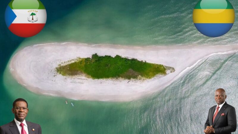 Gabon : Verdict de la CIJ sur les îles Mbanié, Cocotiers et Conga le Chef de l’Etat dit privilégié le dialogue et la concertation