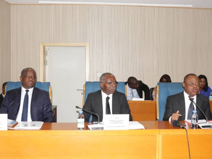 Gabon : réforme des partis politiques et répartition des sièges électoraux, François Ndong Obiang et Hermann Immongault face aux députés de la Transition