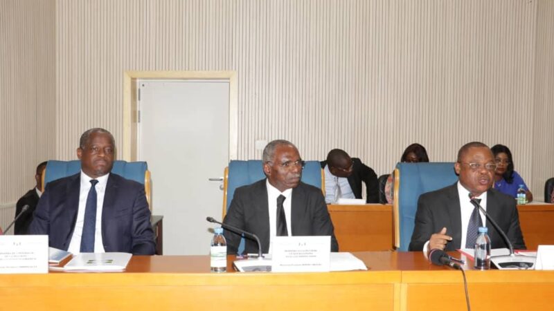 Gabon : réforme des partis politiques et répartition des sièges électoraux, François Ndong Obiang et Hermann Immongault face aux députés de la Transition