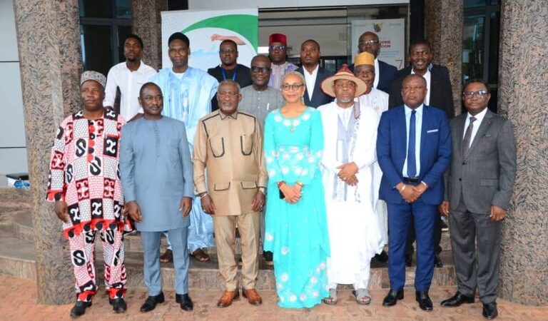 Cameroun : Code électoral, Propositions d’une réforme ambitieuse