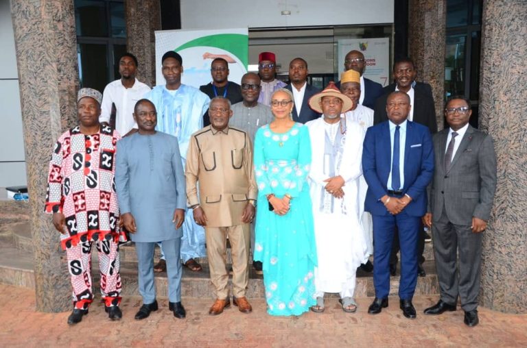 Cameroun : Code électoral, Propositions d’une réforme ambitieuse