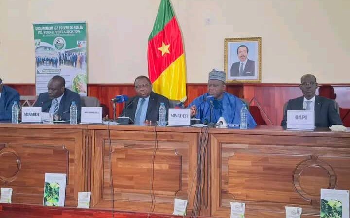 Cameroun : Poivre de Penja, le premier festival sur les rails