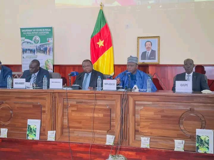 Cameroun : Poivre de Penja, le premier festival sur les rails