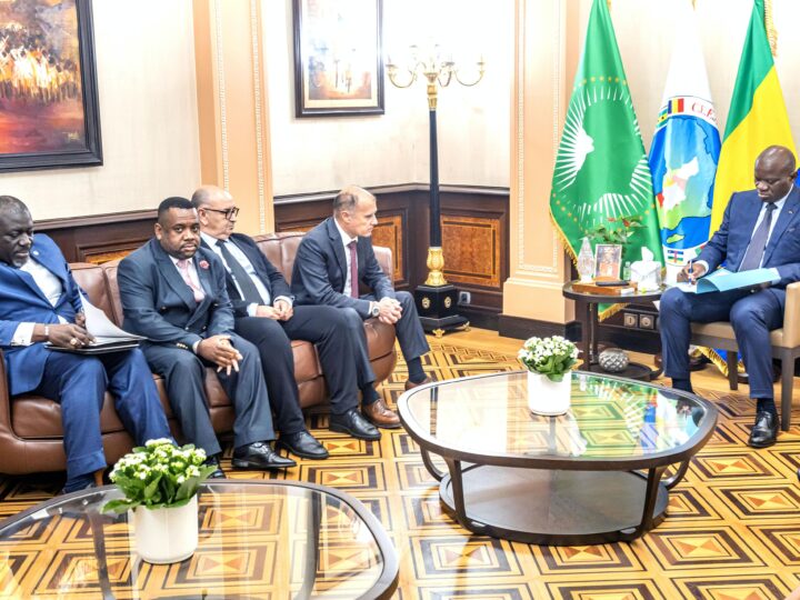 Gabon : Le Chef de l’État échange avec le Directeur Général du Groupe Summa Construction