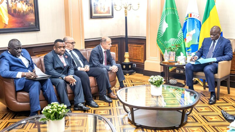Gabon : Le Chef de l’État échange avec le Directeur Général du Groupe Summa Construction