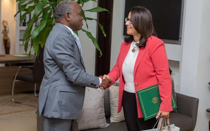 Eau & Énergie : le Gabon et l’Égypte renforcent leur partenariat stratégique