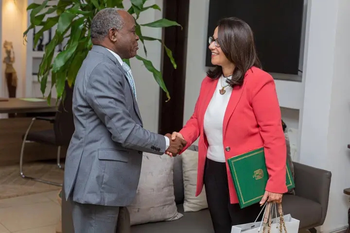 Eau & Énergie : le Gabon et l’Égypte renforcent leur partenariat stratégique