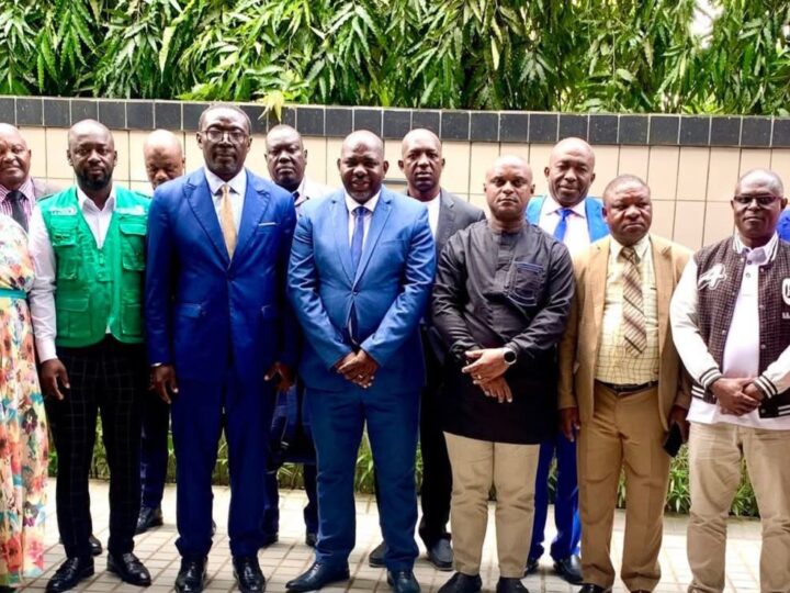 Gabon : Tenue d’un atelier d’adaptation du guide continental de la surveillance basée sur les évènements (SBE)