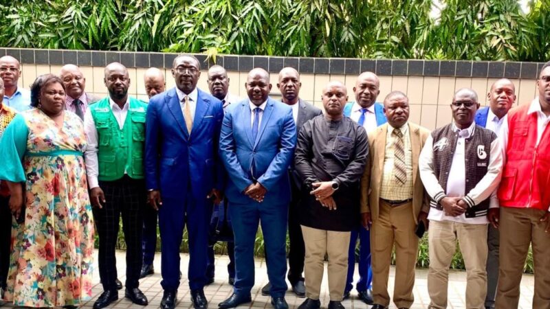 Gabon : Tenue d’un atelier d’adaptation du guide continental de la surveillance basée sur les évènements (SBE)