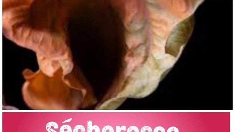 Santé sexuelle chez la femme : La sécheresse vaginale ou  sécheresse intime tout savoir
