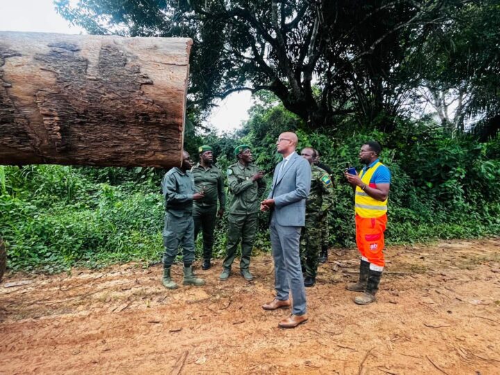 Gabon : Le Ministre des Eaux et Forêts mène des opérations de contrôle des activités forestières sur l’étendue du territoire