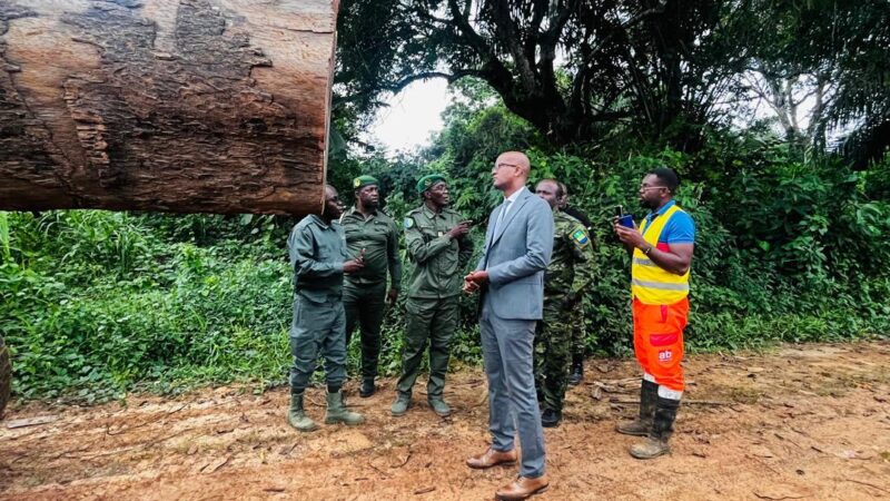 Gabon : Le Ministre des Eaux et Forêts mène des opérations de contrôle des activités forestières sur l’étendue du territoire